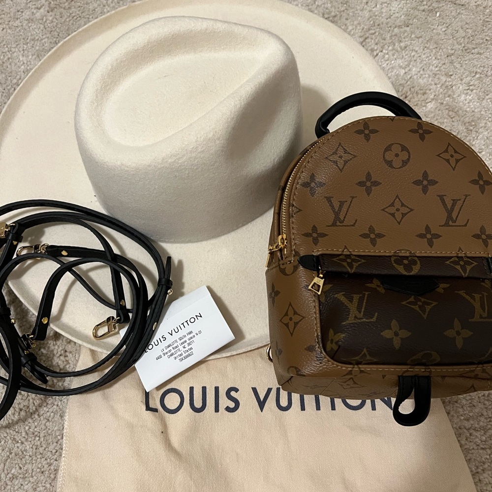 Louis Vuitton Palm Springs Mini - Reverse Monogram
